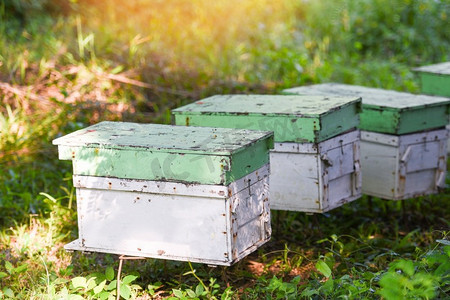 蜂房用蜂箱采集蜂蜜，养蜂人用蜂箱带着蜜蜂飞向登陆台。养蜂业