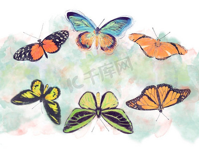 热带蝴蝶的水彩图像为背景
