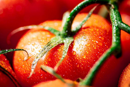香味成熟的西红柿与水滴。宏观背景。高质量的照片。香味成熟的西红柿与水滴。 