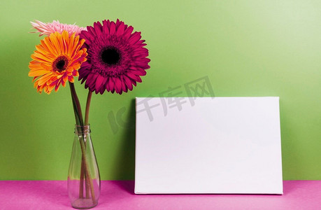 非洲菊花花瓶近空白卡粉红色桌子反对绿色墙壁