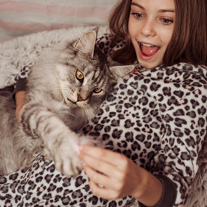 猫吻摄影照片_女孩猫玩床