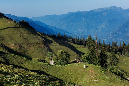 在喜马拉雅山吃草的马。印度喜马偕尔邦Kullu Valley上方的Manali附近。在喜马拉雅山脉放牧的马