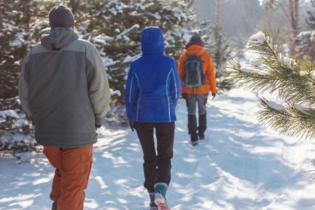 登山徒步的人摄影照片_冬季森林中的徒步旅行者