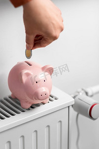  小猪，银行，暖气，散热器