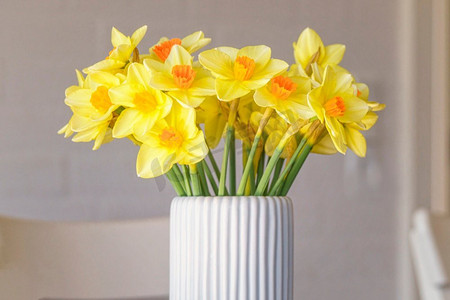 水仙花在一个白色花瓶在春天盛开在美丽的黄色颜色