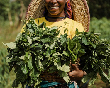 农村妇女拿着植物叶子3
