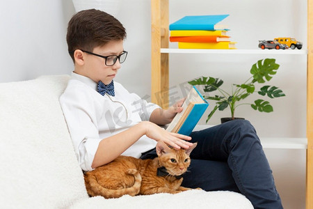 男孩抚摸猫阅读