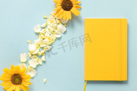 黄色日记近向日葵花瓣蓝色背景