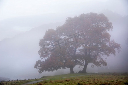 赛季摄影照片_河Brathay在湖区的史诗秋天景观图像看着Langdale Pikes与雾横跨河和充满活力的林地