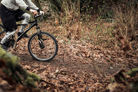 森林骑车摄影照片_骑着山地自行车在森林小路上骑车的人