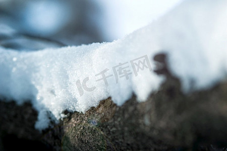 霜冻和雪对干燥的森林灌木和种子