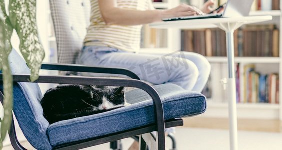 可爱的小猫睡在扶手椅上在家工作的女人在后台呆在家里和健康的冠状病毒