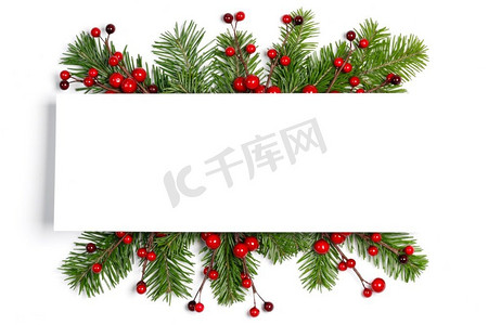 圣诞树枝摄影照片_圣诞节边界树枝和红色浆果框架在白色背景与拷贝空间隔绝圣诞树树枝架