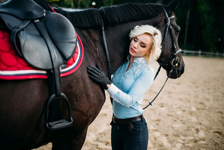 女骑手拥抱她的马，友谊，骑马。马术运动，年轻妇女和美丽的种马，农场动物