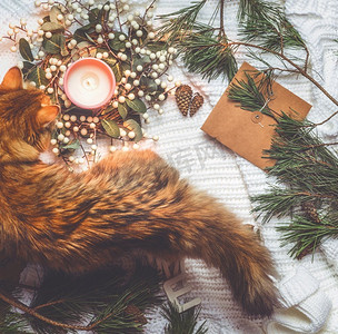 猫在白色地毯与圣诞装饰：冬天花环，燃烧的蜡烛，软木，松果，工艺纸。节日冬季概念俯视图