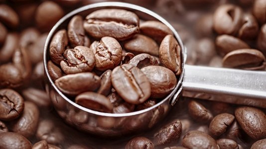 破土而出的绿芽摄影照片_近距离的咖啡种子芳香的咖啡豆是由咖啡豆烘焙而出的烟雾。