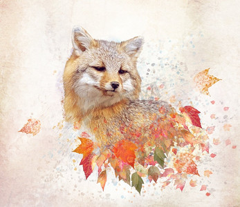 水彩红色叶子摄影照片_红色狐狸与秋天的叶子，水彩数字插图