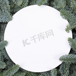 天然冷杉圣诞树圆形边框孤立在白色，复制文本空间。冷杉树枝框架在白色
