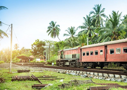 斯里兰卡的火车站和老火车头，铁道。锡兰热带风光