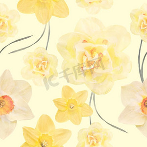 天衣无缝的花卉设计，以水仙花为背景，无休止的图案。水彩插图。