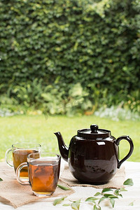 两个透明杯花草茶与茶壶桌花园。漂亮的照片。两个透明杯草药茶与茶壶桌花园