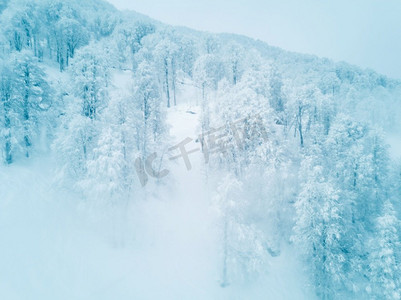 美丽的冬季景观与森林在山，树木覆盖雪霜，雾的早晨。冬季山林在霜冻