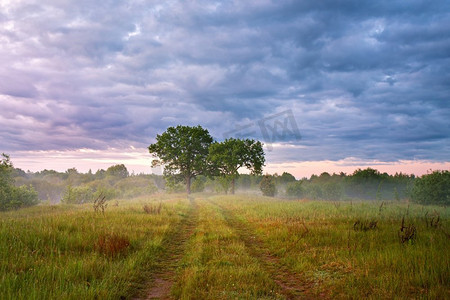 乌云雨摄影照片_夏天薄雾日出在草地。乡间小路绿地。晨雾中的两棵大橡树。乌云笼罩。白俄罗斯，Berezina河