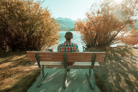 一个人在平静的湖边安心休息.树街道