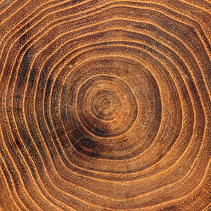 关闭木制年轮.年轮木纹