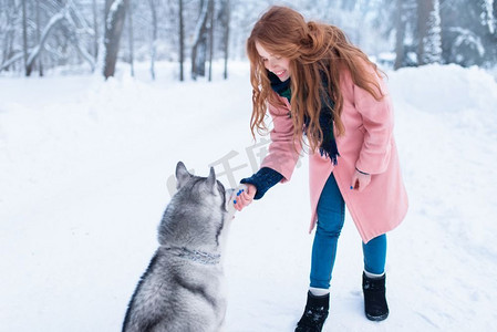 美女养着顽皮的哈士奇狗，背景是白雪覆盖的森林。可爱的女孩和迷人的宠物一起狂欢。漂亮女人养着顽皮的哈士奇狗