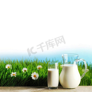 一杯牛奶和罐子在新鲜的草地上与甘菊。一杯牛奶和罐子在花草地