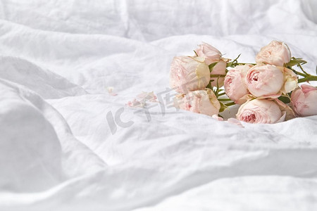 情人玫瑰摄影照片_ 床，情人节，玫瑰，新鲜