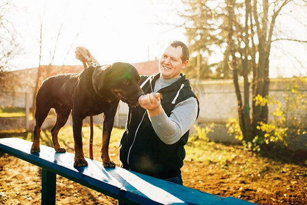 儒学摄影照片_犬儒学家在操场上训练嗅探犬。主人与他的顺从宠物户外，猎犬家畜