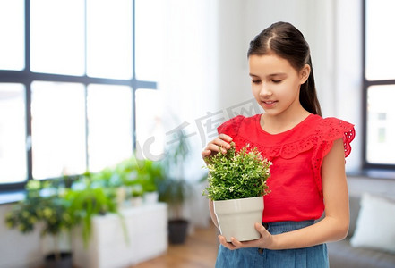 环境、自然和人概念—拿着在锅里的花愉快的微笑的女孩在家庭房间背景快乐的微笑女孩拿着花在锅里