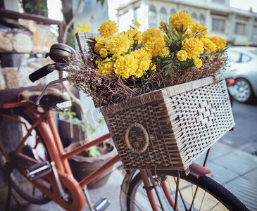 特写图片的老式自行车与黄色的花在篮子