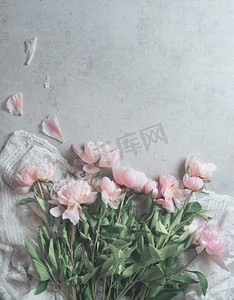 淡彩摄影照片_白色花边面料上的粉色淡牡丹花，灰色背景上散落的花瓣。花卉成分。