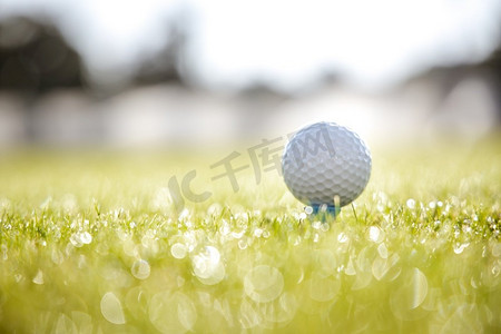 tee摄影照片_高尔夫球杆和球在驾驶员前面的发球台上