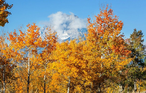 明亮色彩摄影照片_美国怀俄明州大提顿国家公园秋季的明亮色彩