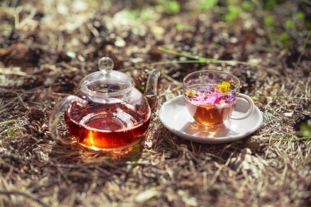 女人把茶从一个玻璃茶壶倒进一个玻璃杯。露天茶会。一个杯子和茶壶特写镜头在自然界在森林里