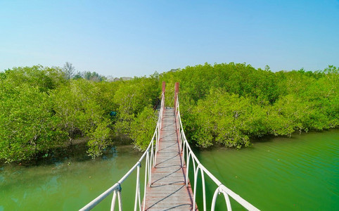 红色木桥到一个天然森林与蓝天，泰国