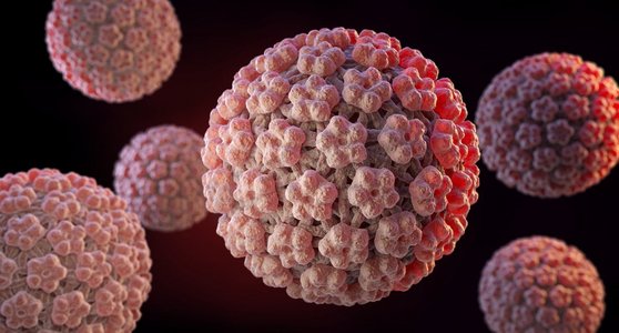 不规则图形正方形摄影照片_人乳头瘤病毒（HPV）是一种来自乳头瘤病毒家族的DNA病毒。3D插图。乳头瘤病毒HPV