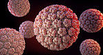 人乳头瘤病毒（HPV）是一种来自乳头瘤病毒家族的DNA病毒。3D插图。乳头瘤病毒HPV