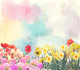 数字花卉摄影照片_五颜六色的水彩花。数字插图。