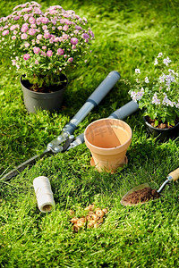 园艺和种植概念—园艺工具，花盆和花在草地上夏季。夏天在草地上的园艺工具和花