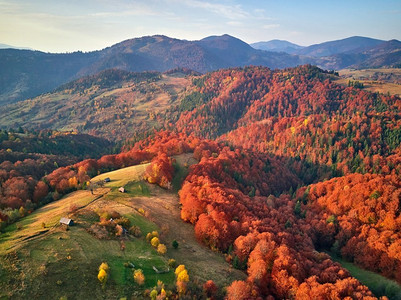  山，秋天，森林，五颜六色