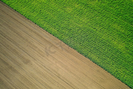 一个美丽的空中拍摄的绿色农田。美丽的空中拍摄的绿色农业领域