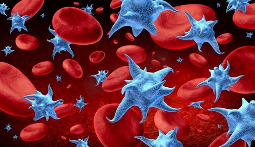 血小板在血液和血小板解剖学概念作为活化血小板符号作为3D渲染。