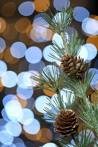 圣诞装饰与松树早午餐和散景闪光
