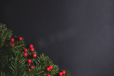冷杉圣诞树树枝和冬青浆果在黑色纸背景平的躺顶视图模型。冷杉树枝在黑色的纸