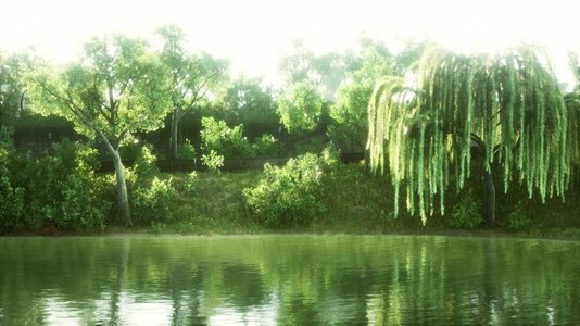 树环绕摄影照片_阳光下郁郁葱葱的绿色林地公园环绕着宁静的池塘
